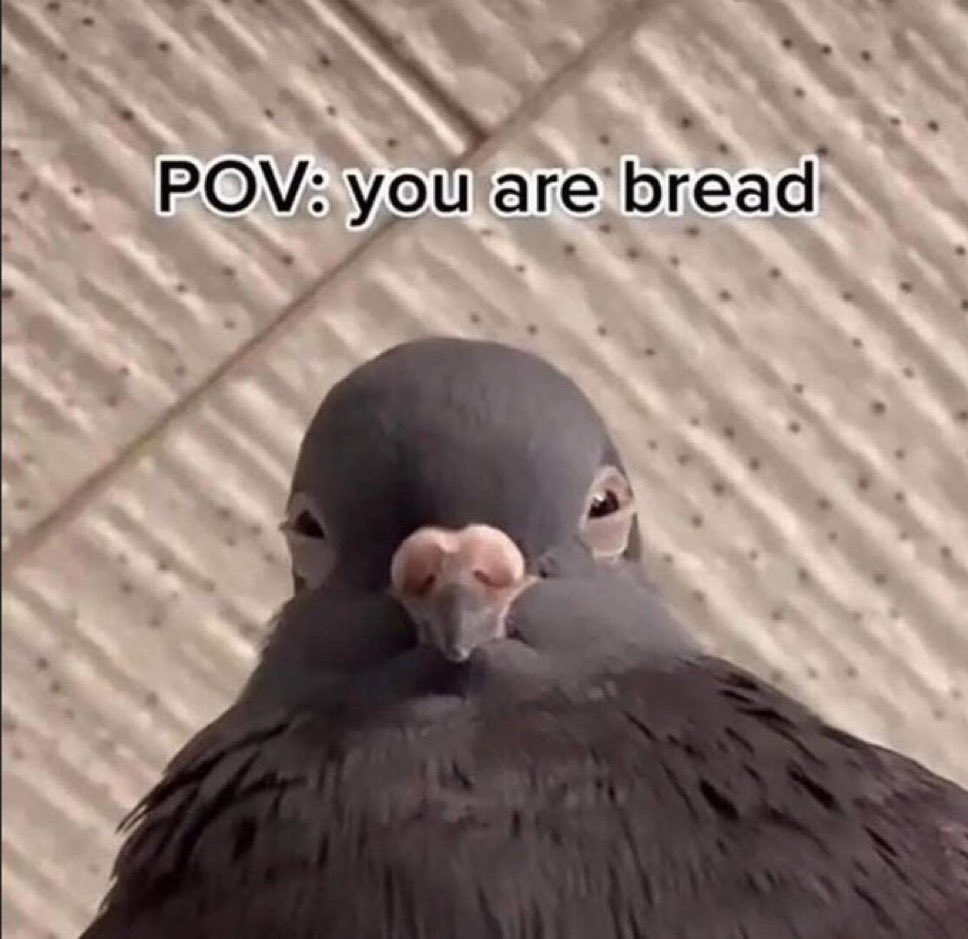 <a href="/s8n/">Satan</a> $dank meme <a href="/s8n/">Satan</a>