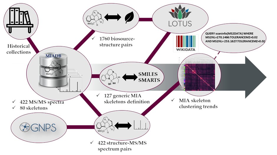 Mehdi Beniddir (@beniddirm) on Twitter photo It is with tremendous emotion that I share with you a community effort <a href="/jcheminf/">Journal of Cheminformatics</a> rb.gy/gynwlf that resulted in the update of the MIADB <a href="/GNPS_UCSD/">GNPS - UC San Diego</a> and the generation of valuable spectrometric signatures that could be used as queries #MassQL 🙏<a href="/Adafede/">Adriano Rutz</a> and S. Szwarc It is with tremendous emotion that I share with you a community effort <a href="/jcheminf/">Journal of Cheminformatics</a> rb.gy/gynwlf that resulted in the update of the MIADB <a href="/GNPS_UCSD/">GNPS - UC San Diego</a> and the generation of valuable spectrometric signatures that could be used as queries #MassQL 🙏<a href="/Adafede/">Adriano Rutz</a> and S. Szwarc