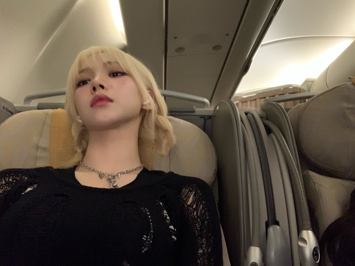 ≽^•˕• ྀི≼