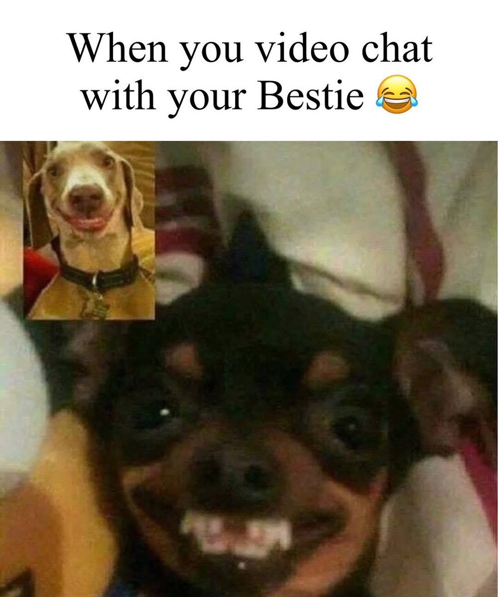 UKModelslondon's tweet image. This is honestly what everyone looks like 😂

Listen a bestie is a bestie for a reason! 

DM for credit or removal….

#funnyfaces #funnymemes