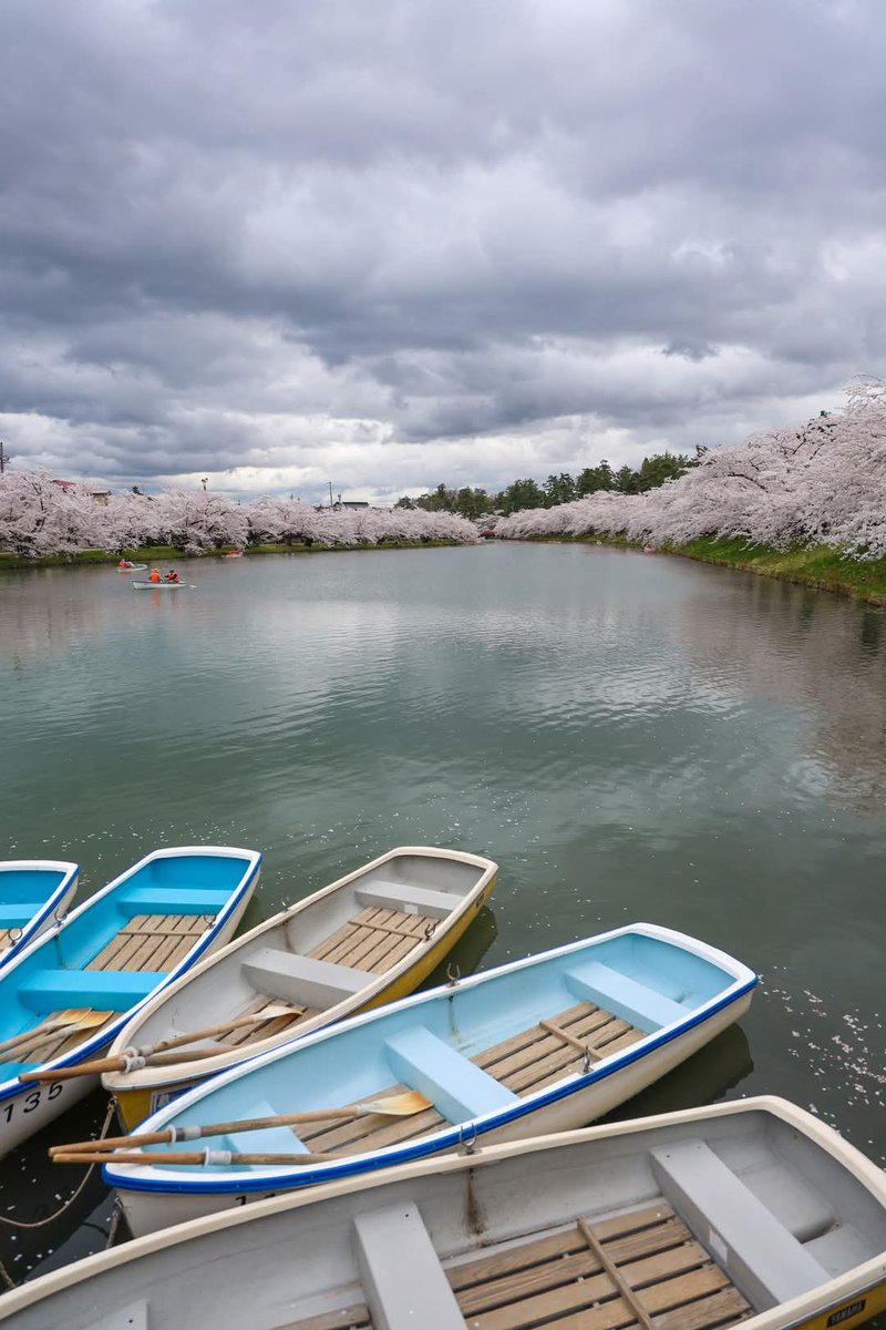 calm_bless's tweet image. #focusfun #eos #eosr #focuseosr6mark2 #focus_eosr6mark2 #canon #canoncamera #eosr6mark2 #eosr6markii #rf24_105m #rf24_105 #rf24_105mmf4lisusm #rf24_105mm_f4_l_is_usm 
#レンズ復活 #弘前城 #桜のトンネル #桜のハート 
やっぱり #曇天 #曇り.....💦