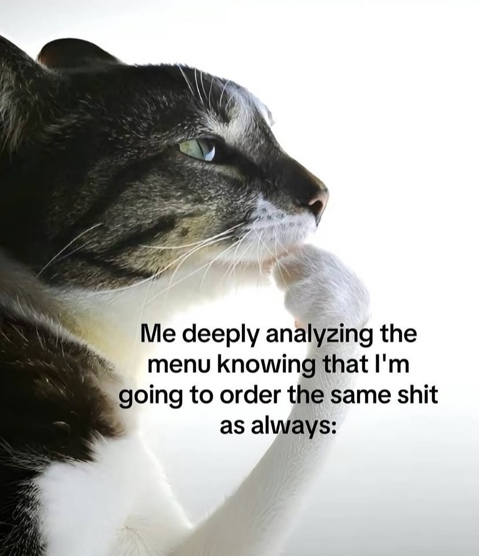 Punch Cat tweet media