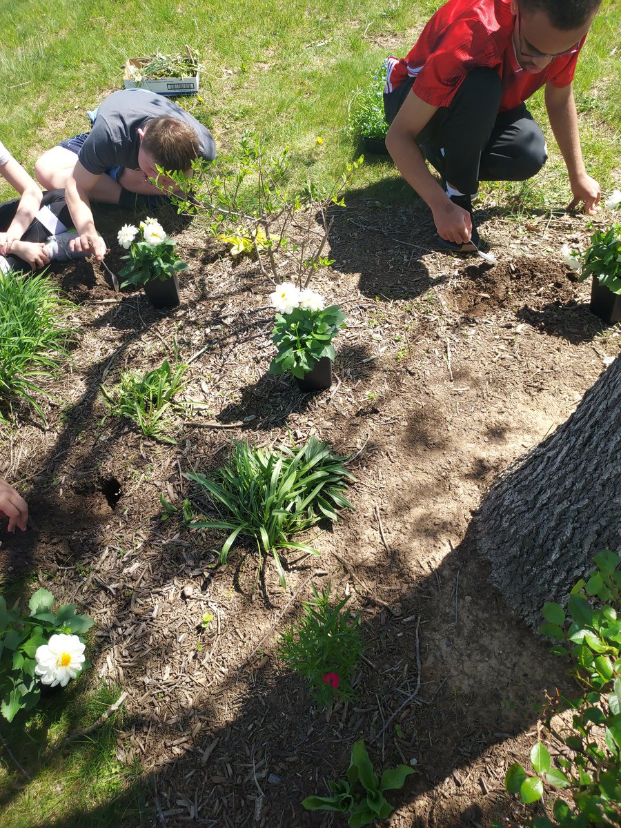 Kim Ingram (@kimingram22) on Twitter photo My amazing #students <a href="/lshspioneers/">Lampeter-Strasburg High School</a> <a href="/LSPioneers/">Lampeter-StrasburgSD</a> tended the Whitey memorial tree today. #community #family #lovewhereyoulive My amazing #students <a href="/lshspioneers/">Lampeter-Strasburg High School</a> <a href="/LSPioneers/">Lampeter-StrasburgSD</a> tended the Whitey memorial tree today. #community #family #lovewhereyoulive
