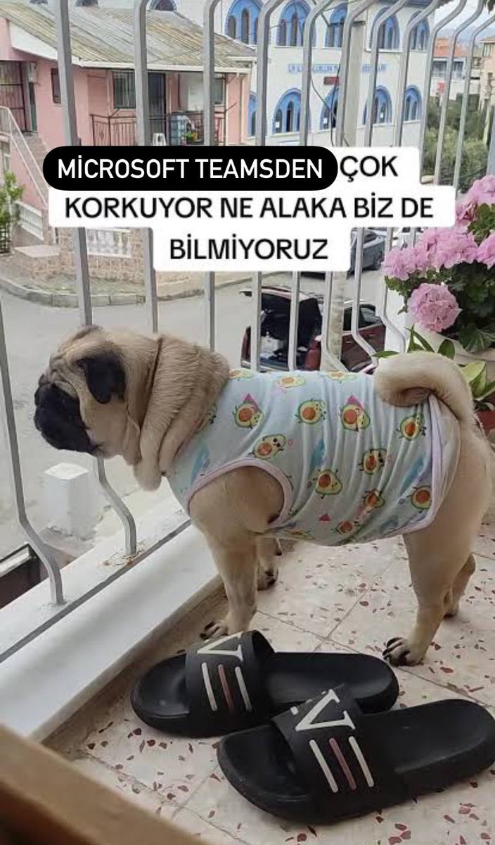 dvnior (@cowkittie) on Twitter photo 