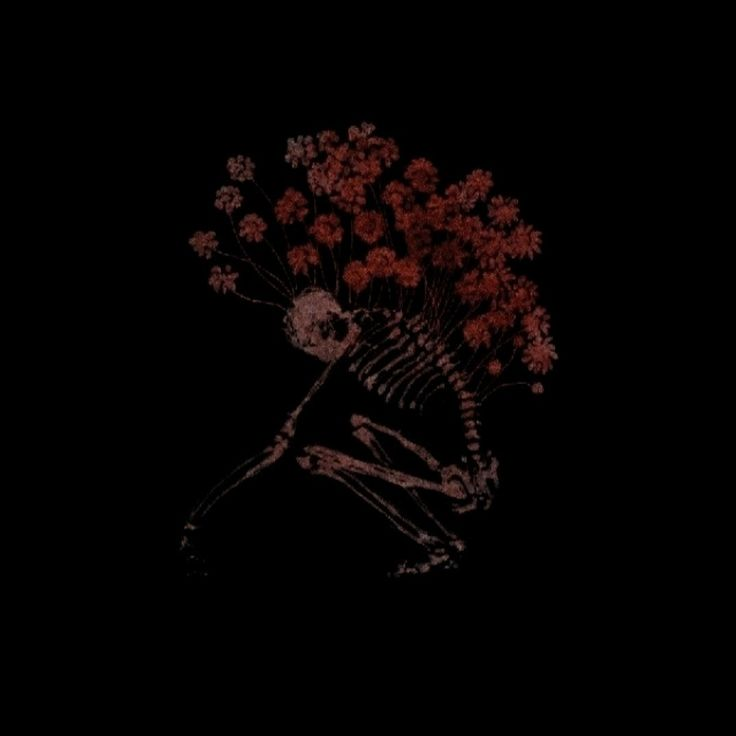 ᅠᅠ❛ 𝑫𝑰𝑶𝑴𝑬𝑫𝑬𝑺 — . tweet media