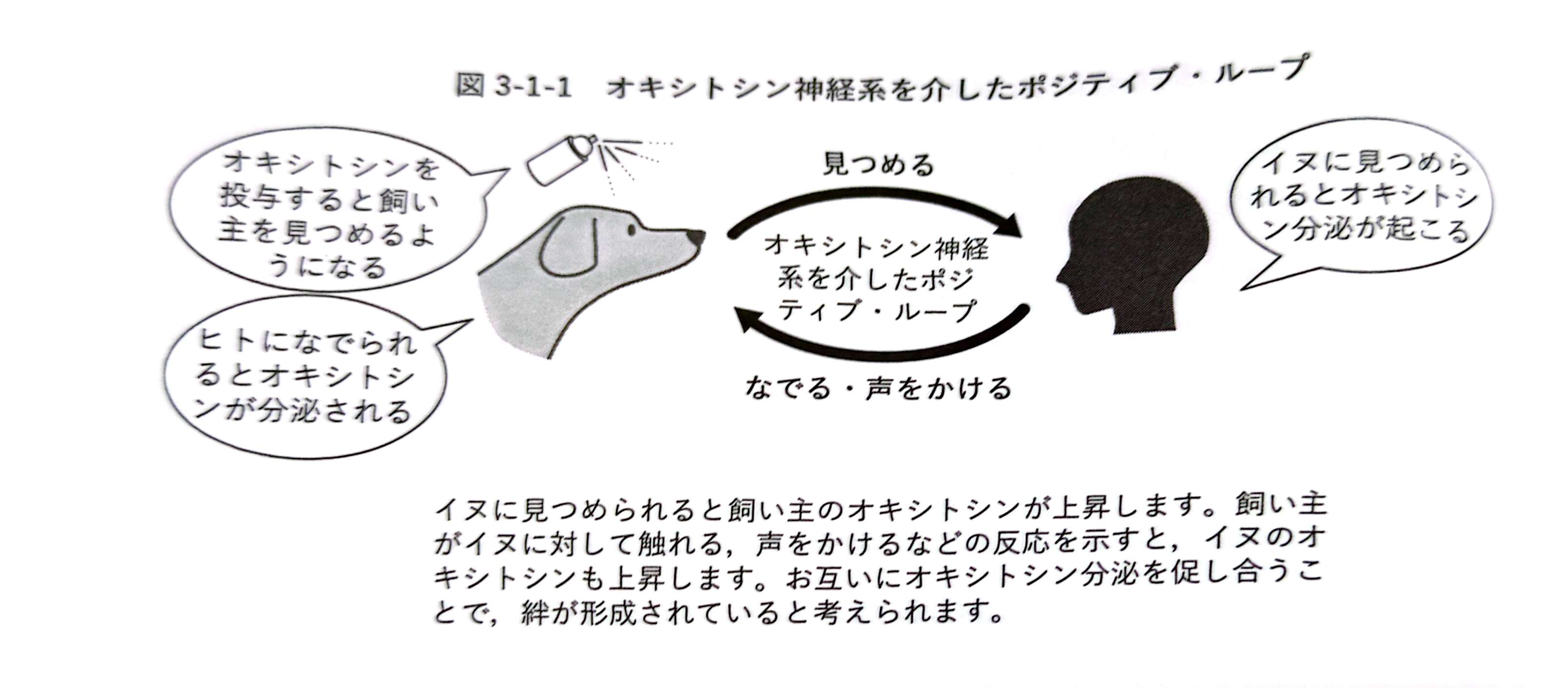高価値 みかん on X:  トップス