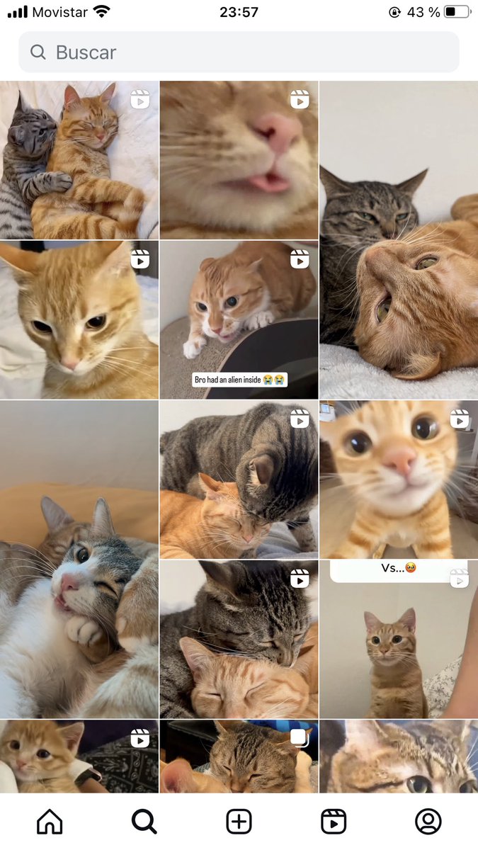 Se me fue totalmente de las manos