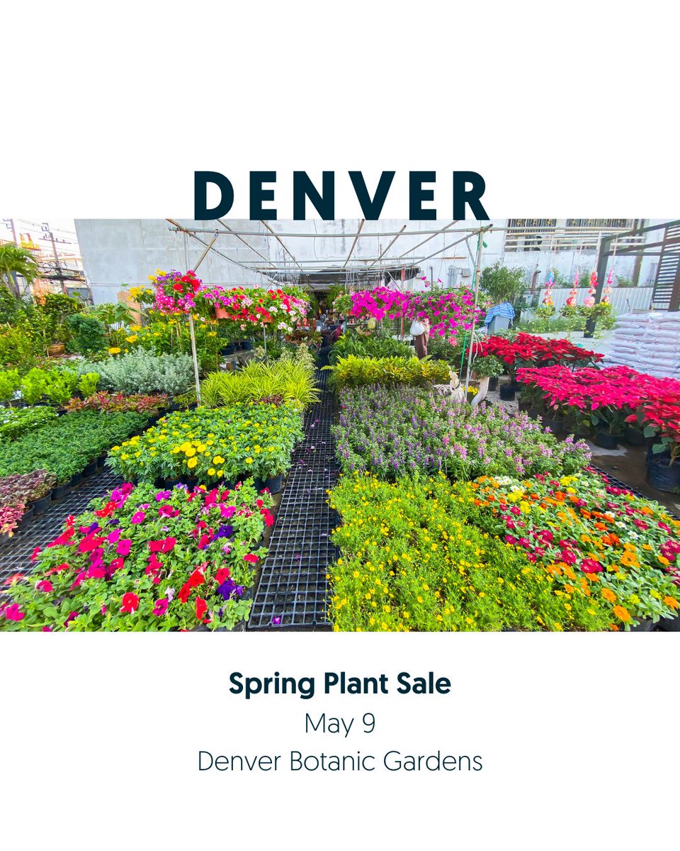 8zRealEstate's tweet image. May in Colorado brings the best of both worlds, snowmelt adventures and sunny patio days. From whitewater rafting to local plant sales, it’s the perfect time to explore everything your neighborhood has to offer. 

#everycoloradozipcodebeginswith8 #8z #coloradorealestate