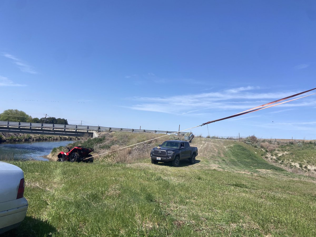 Bovine Thots With Poppin Twats tweet media