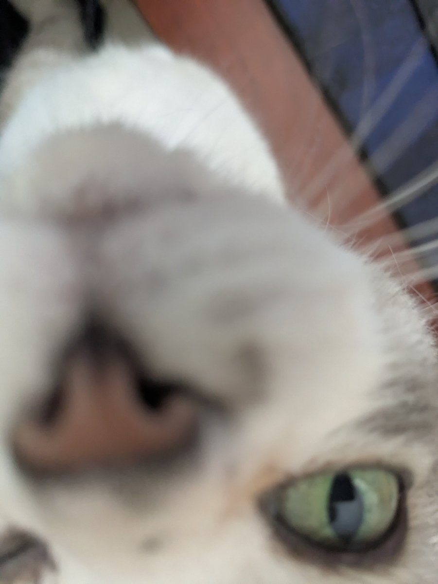 Do you have phone on your games