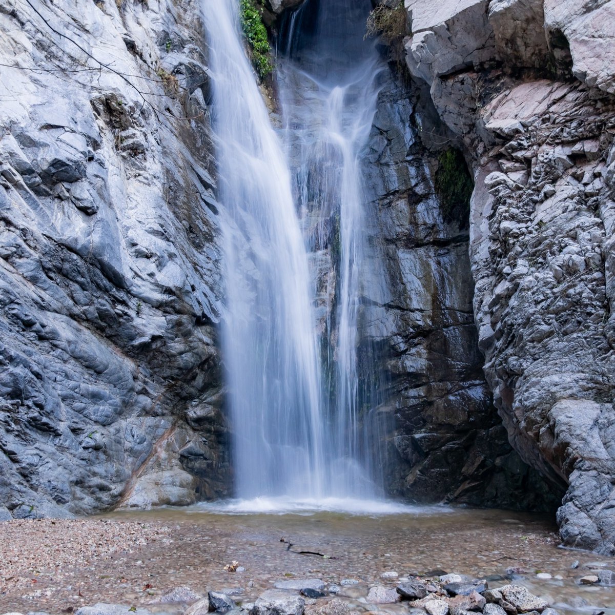 Pasadena Magazine tweet media