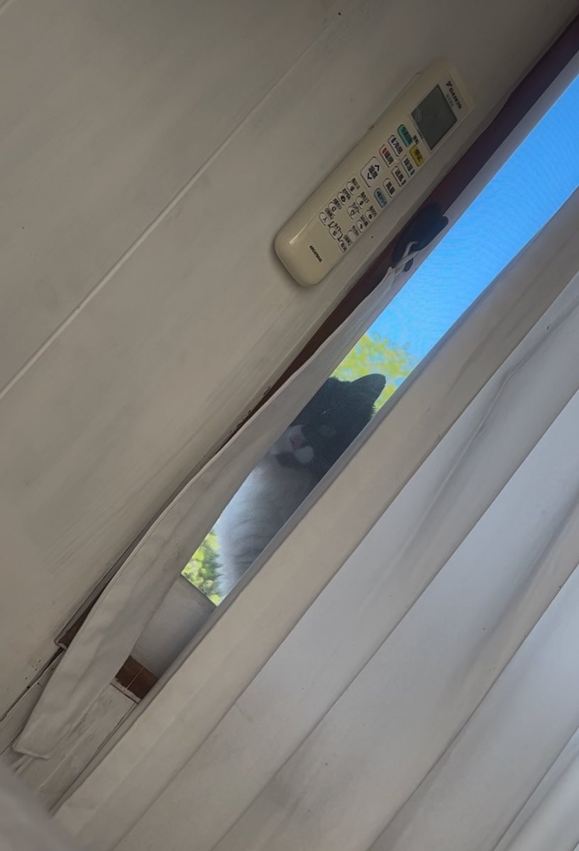 수탉도 님보다 정확하진 않을거요..