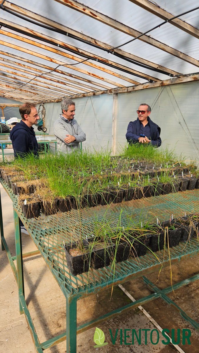Junto a dos grandes analizando control de raigrás y otros "yuyos"
<a href="/MMortarini/">Mauro MORTARINI🇦🇷</a> <a href="/OdSagro/">Ojos del Salado</a> <a href="/GigonRamon/">Ramon Gigon</a>