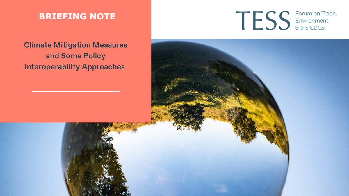Forum on Trade, Environment & the SDGs (@tessforum) on Twitter photo * New Briefing Note *
<a href="/TESSForum/">Forum on Trade, Environment & the SDGs</a> is pleased to share this briefing note by Scott Vaughan on approaches to climate policy interoperability. Dive into examples of equivalency and converging international standards in response to the proliferation of climate mitigation measures. * New Briefing Note *
<a href="/TESSForum/">Forum on Trade, Environment & the SDGs</a> is pleased to share this briefing note by Scott Vaughan on approaches to climate policy interoperability. Dive into examples of equivalency and converging international standards in response to the proliferation of climate mitigation measures.