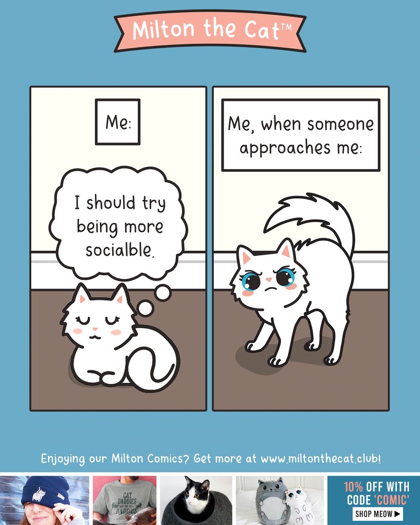 I'm *totally* approachable!! 😬