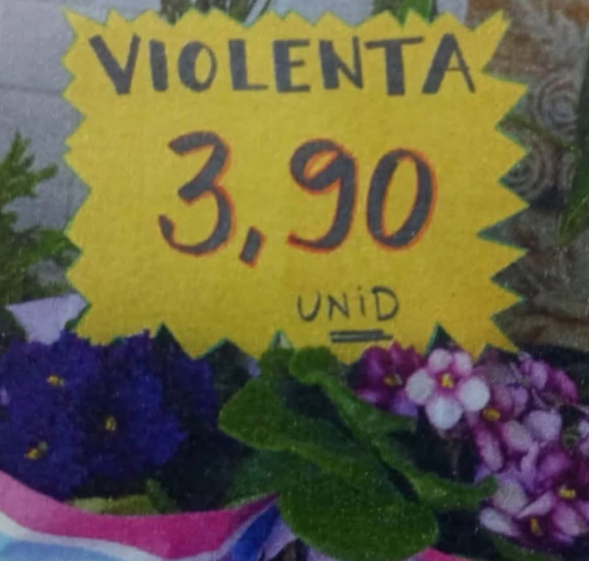 Senhora Gospel tweet media