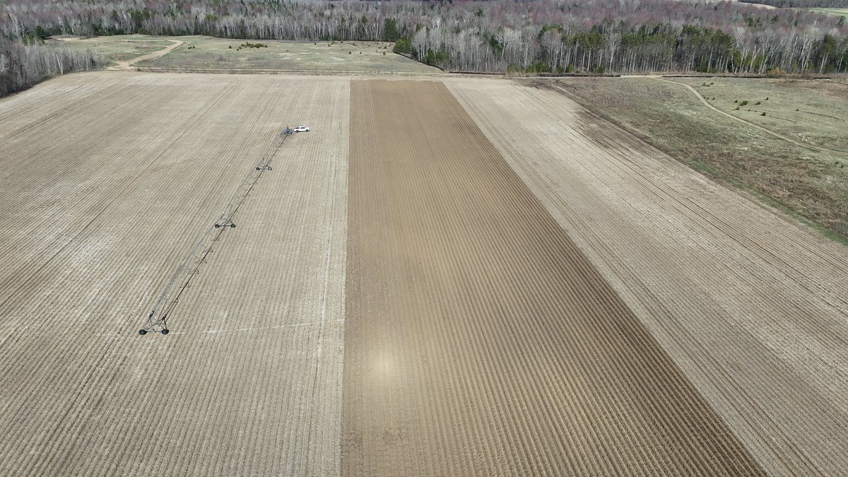 First day of planting, getting the new spudnik belt planter dialled in.
