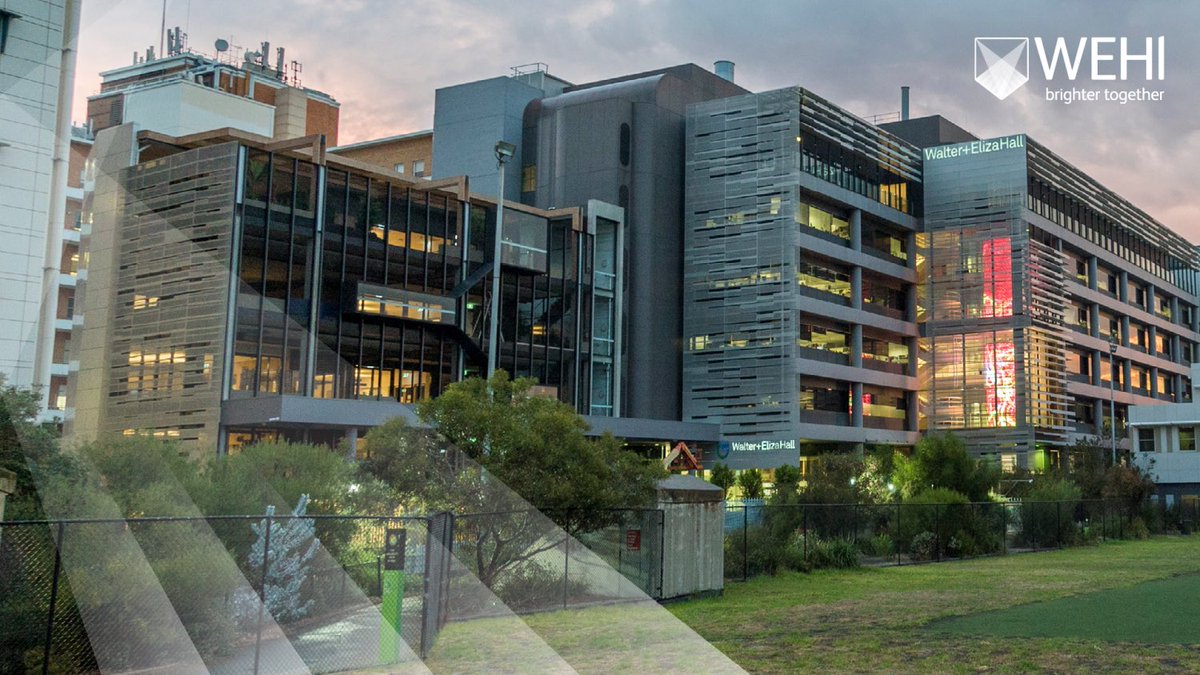 Australian and New Zealand Society for Immunology (@asimmunology) on Twitter photo #dayofimmunology Discovery Tour at the Walter & Eliza Hall Institute for Medical Research is on from 10-11:30 am today. Come see the oldest research institute in Australia and hear from the brilliant immunologists <a href="/WEHI_research/">WEHI (Walter and Eliza Hall Institute)</a>. Tours are free to the public.
#ASImmunology #dayofimmunology Discovery Tour at the Walter & Eliza Hall Institute for Medical Research is on from 10-11:30 am today. Come see the oldest research institute in Australia and hear from the brilliant immunologists <a href="/WEHI_research/">WEHI (Walter and Eliza Hall Institute)</a>. Tours are free to the public.
#ASImmunology