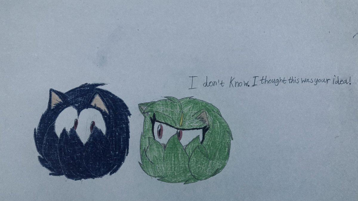 AXEL the Hedgehog  tweet media