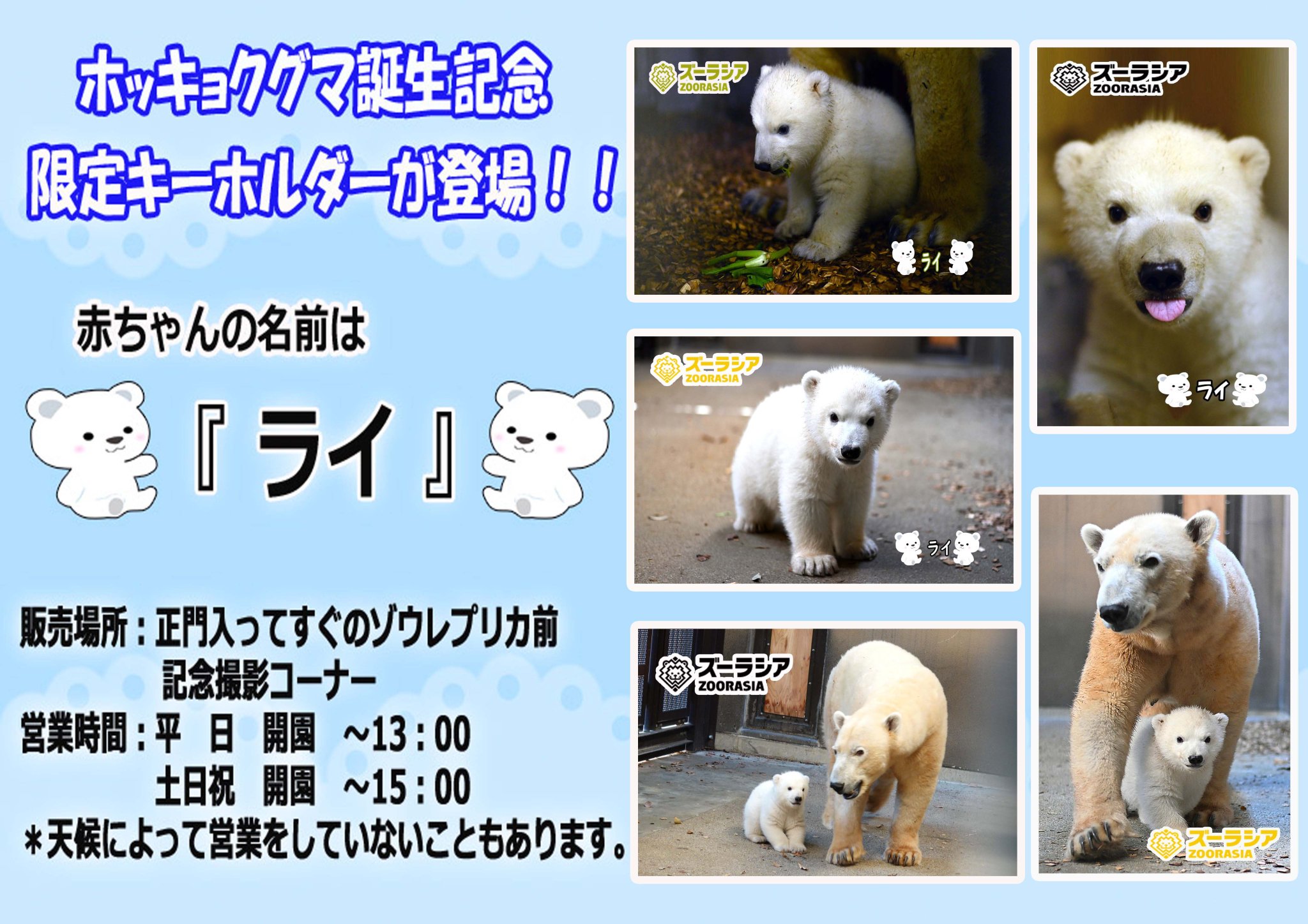 【国際ブランド】 公式】横浜市立よこはま動物園 X on ズーラシア キーホルダー・アクリルキーホルダー