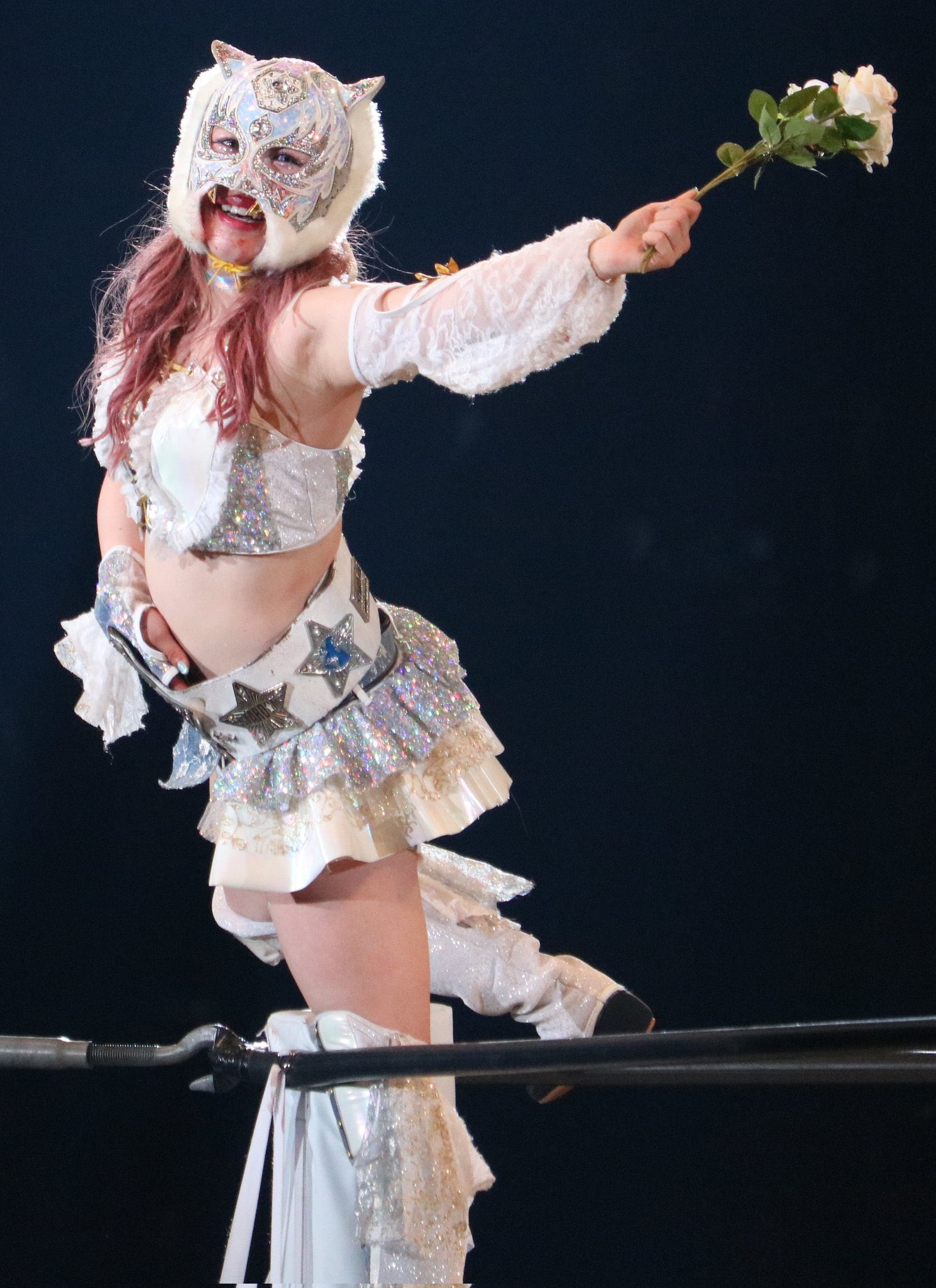 スターダム💙スターライト・キッド🐯🤍 (@StarLight_Kid11) / X スターダム💙スターライト・キッド🐯🤍 (@StarLight_Kid11) / X