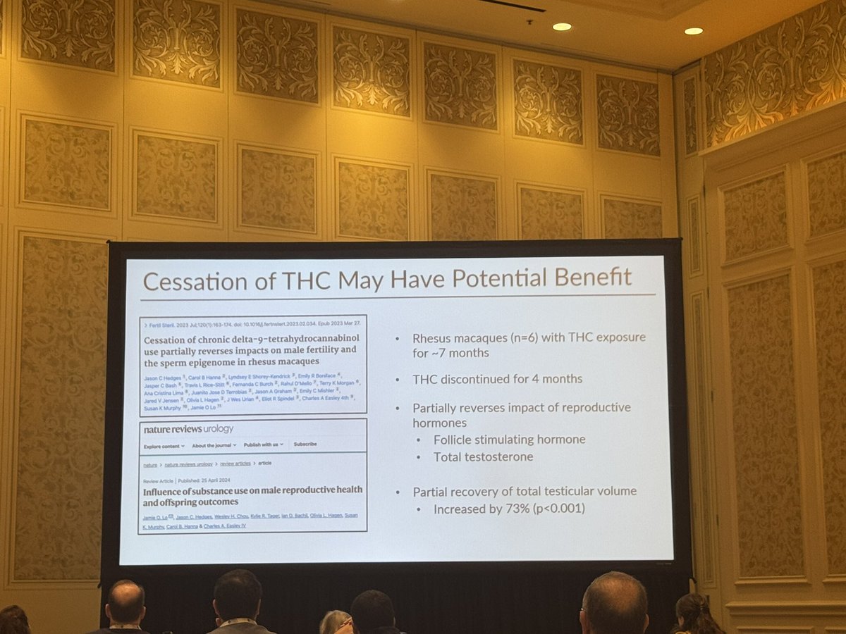 Sevann Helo (@helo_md) on Twitter photo No shortage of secondhand marijuana smoke at #AUA25. Dr. Jamie Lo from <a href="/ohsuobgyn/">OHSU OB/GYN Residency Program</a> presented interesting data on THC use:
📌⬆️Risk pregnancy loss
📌Altered T, FSH, prolactin
📌Testicular shrinkage
📌Cessation reverses some effects
<a href="/SSMR_malefactor/">Society for the Study of Male Reproduction</a> <a href="/AmerUrological/">Amer. Urol. Assn.</a> No shortage of secondhand marijuana smoke at #AUA25. Dr. Jamie Lo from <a href="/ohsuobgyn/">OHSU OB/GYN Residency Program</a> presented interesting data on THC use:
📌⬆️Risk pregnancy loss
📌Altered T, FSH, prolactin
📌Testicular shrinkage
📌Cessation reverses some effects
<a href="/SSMR_malefactor/">Society for the Study of Male Reproduction</a> <a href="/AmerUrological/">Amer. Urol. Assn.</a>