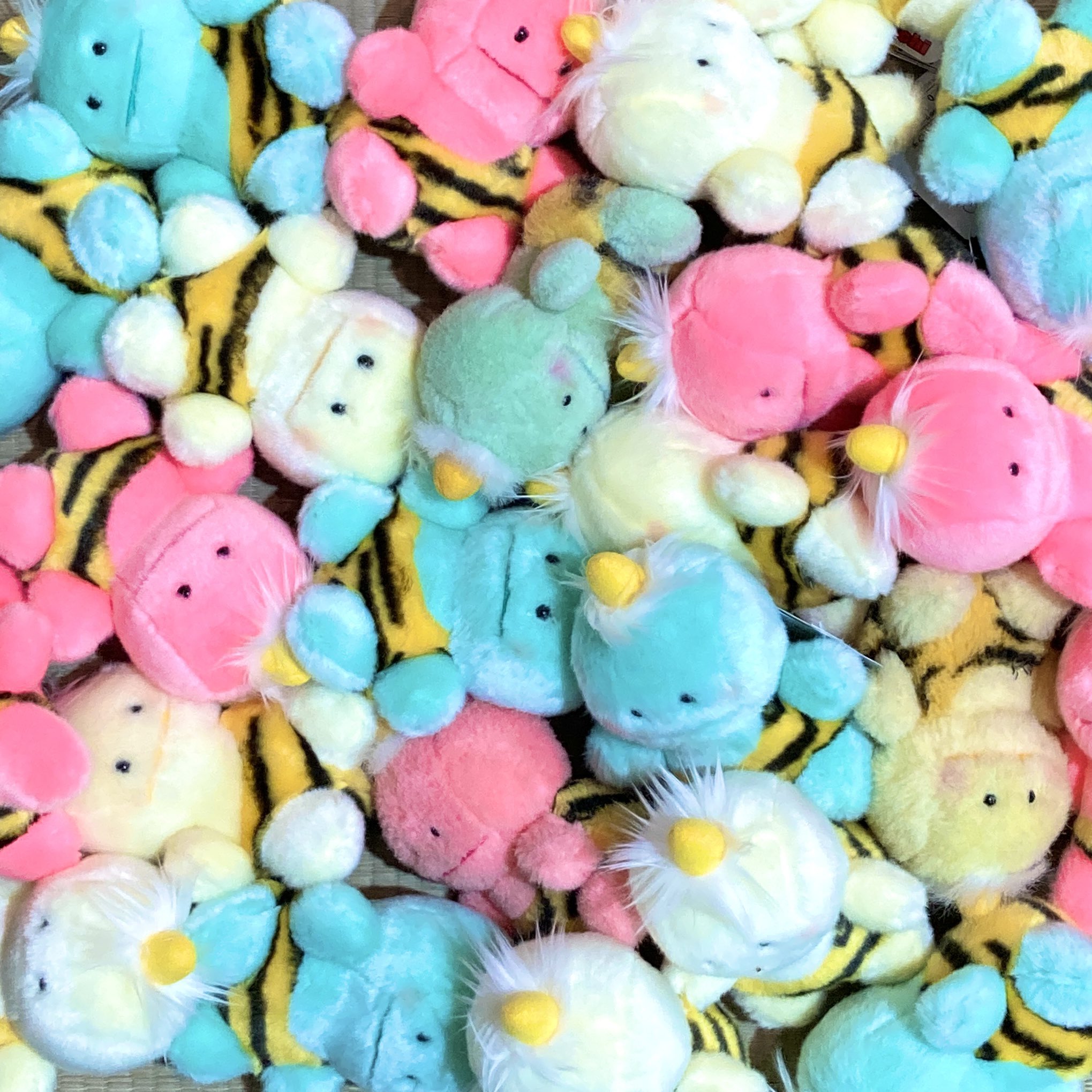 ピカポン! (@pikapon_pikapon) / X ピカポン! (@pikapon_pikapon) / X