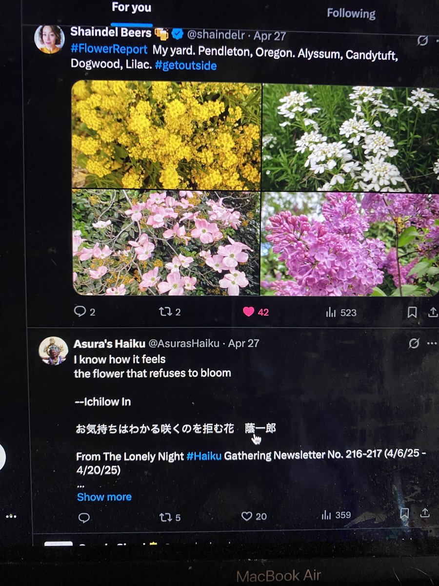 Mark Hitri tweet media