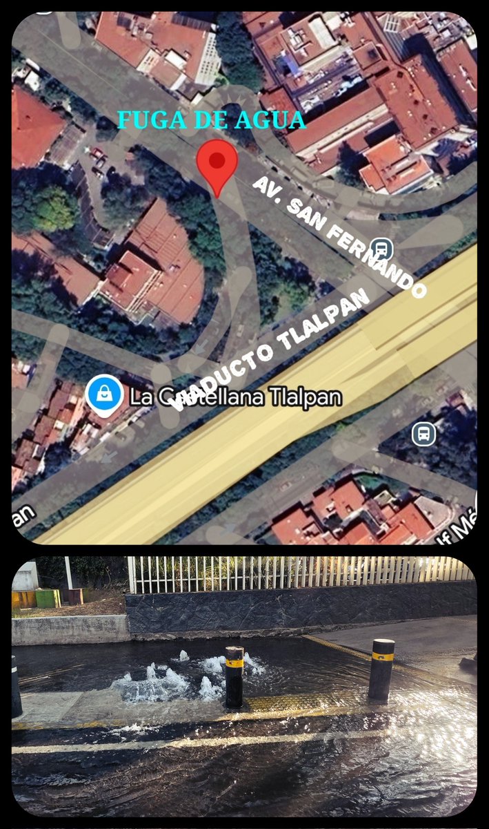 ⒺⓁⓂⒶⒼⓄⓁⓄⒼⓄ🦂 tweet media