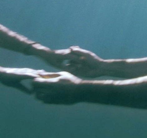 Dear pirate across the sea chapter 9 is posted 💙

I'm literally shaking. And crying. Y’all already know what's gonna happen. 

Final scene inspired by “What the water gave me” by Florence + The Machine <3

archiveofourown.org/works/63308059…