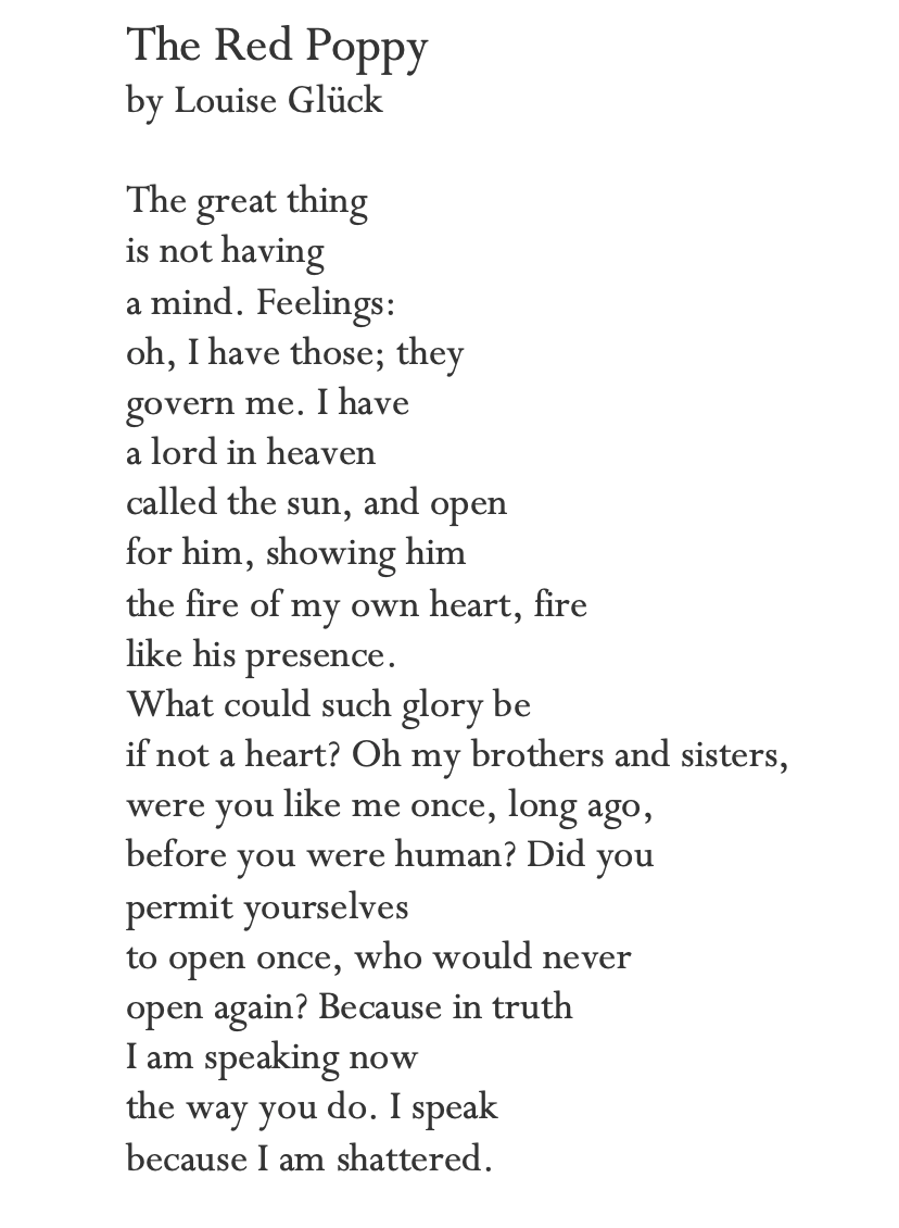 I speak 
because I am shattered.

—Glück