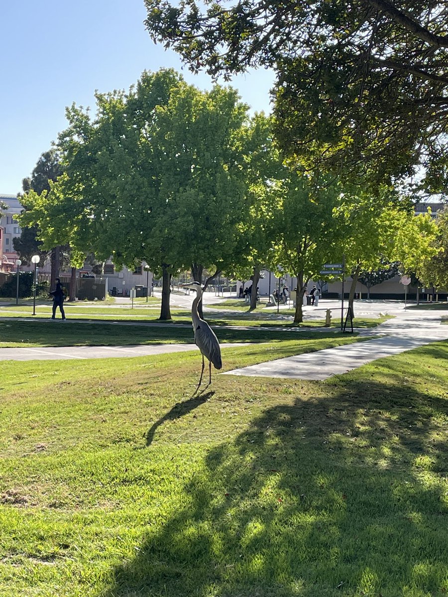 A beautiful way to end the day at UCSB with this stunning guest