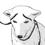 #트친소 #그림러_𝕏친소 
사실 요즘 그림을 잘 안? 못?그려요
대학와서 기력이 없어갖고
알티위주로 찾아갈게욤