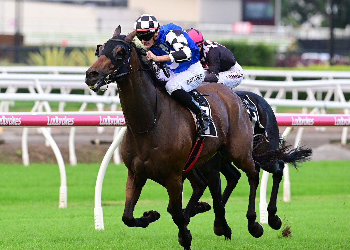 Tenzing (NZ) Scales Black-Type Summit  🏔️

Saturday’s A$300,000 Listed Jones &amp; Co IGA Brisbane Mile (1600m) marked a winning black-type debut for well-performed Karaka graduate Tenzing (NZ) (Contributer).🤩🎉

The Eagle Farm feature was the seventh win overall in a 29-race career