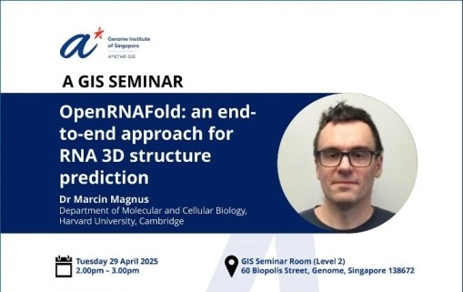 MarcinMagnus 🦋 @mmagnus42.bsky.social (@marcinmagnus) on Twitter photo I'll give a spontaneous lecture on our RNA 3D structure prediction work in the Alphafold era. Join us at 2pm at <a href="/astar_gis/">A*STAR Genome Institute of Singapore (A*STAR GIS)</a> hashtag #ai4rna #iclr #RNA, thanks <a href="/msikic/">Mile Sikic</a> for organizing this meeting. I'll give a spontaneous lecture on our RNA 3D structure prediction work in the Alphafold era. Join us at 2pm at <a href="/astar_gis/">A*STAR Genome Institute of Singapore (A*STAR GIS)</a> hashtag #ai4rna #iclr #RNA, thanks <a href="/msikic/">Mile Sikic</a> for organizing this meeting.