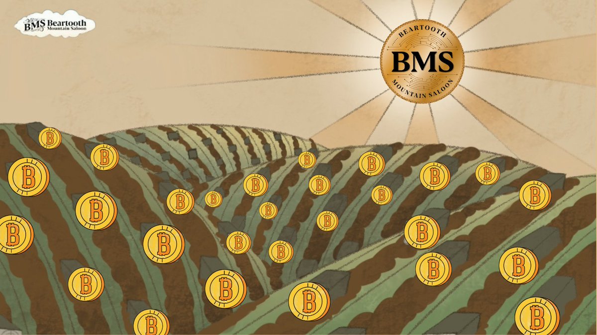 Beartooth Mountain Saloon tweet media