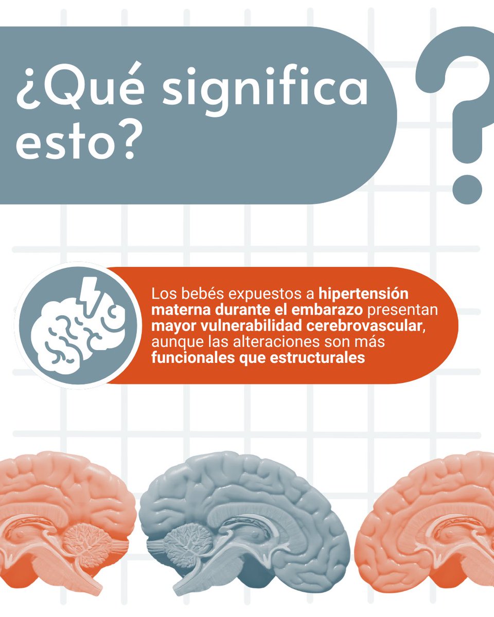 🧠 La hipertensión en el embarazo deja huellas en el cerebro fetal. Nuevo estudio de NEUROVAS analiza el impacto y la importancia del control prenatal 🚼🧡

#cerebrovascular #prevenciónacv #acv #salud #saludcerebral #neurociencia #investigacion #ñuble #chile