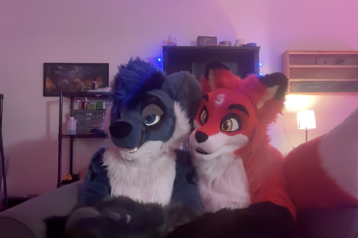 🐶✨️Star✨️🏳️🌈 (@staradder8) on Twitter photo A visit from <a href="/YutuTheFox/">Yutu Fox</a> 🐶🦊
Two cozy critters.
#furryfandom A visit from <a href="/YutuTheFox/">Yutu Fox</a> 🐶🦊
Two cozy critters.
#furryfandom
