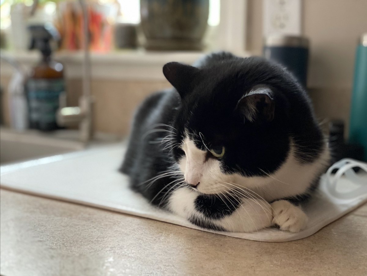 EverythinFacts tweet media