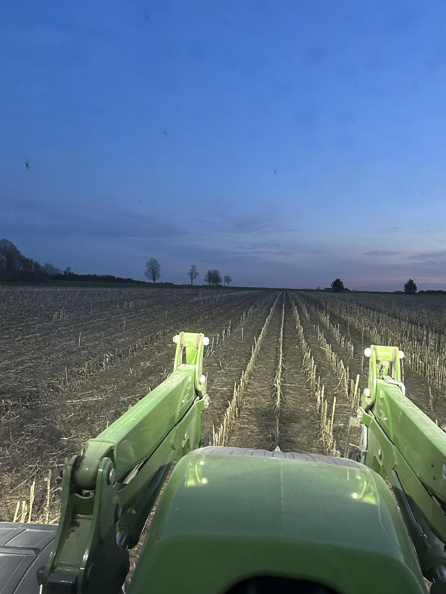 Little late to the party this year but April no-till beans are a go.