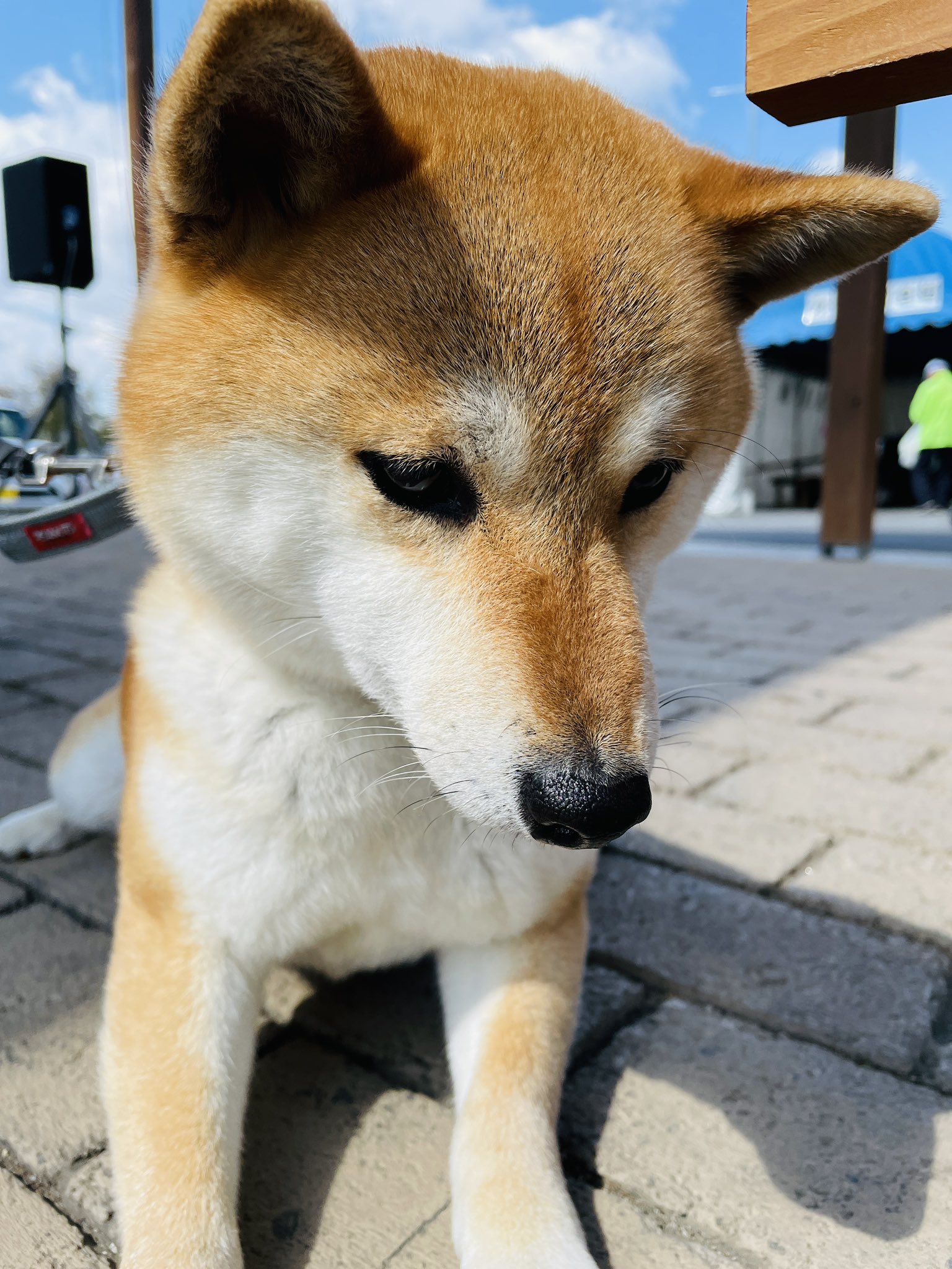WAI WAI Groovin'（ワイグル） (@WG863) / X