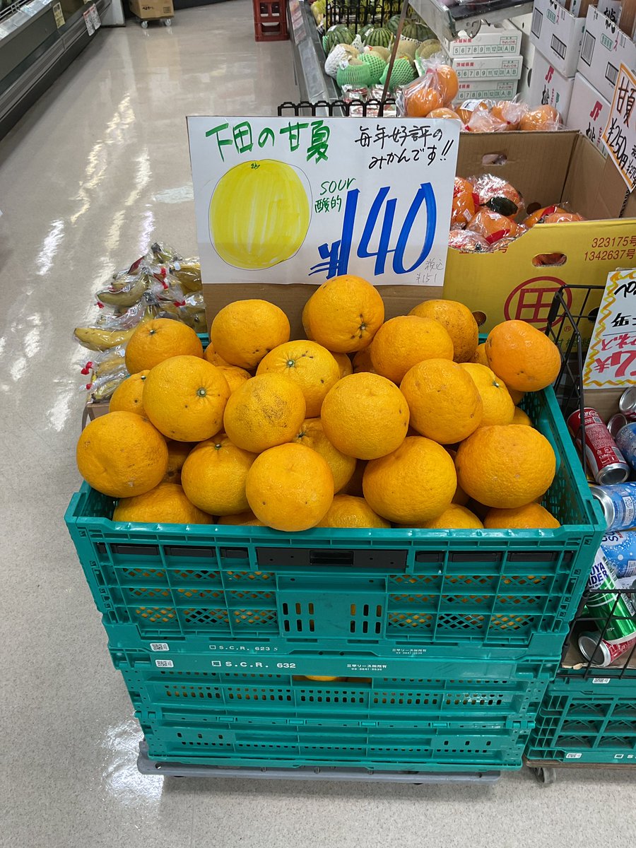 7GxoHiidVA12406's tweet image. 高田屋です。今年も美味しい下田産甘夏🍊入荷しました‼️
#全日食
#あまなつ
#甘夏
#夏
#fuji
#富士山
#富士河口湖町
#fujikawaguchiko
#下田
#伊豆