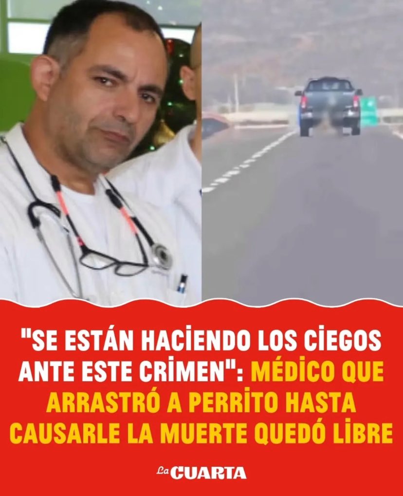 No nos olvidamos de ti , debes pagar el horror que hiciste ! Tu perrito 🐶 necesita justicia ahora! Tu #AlvaroAlonso cárcel para ti! Ahora! RT amigos ! Este monstruo es un verdadero peligro!