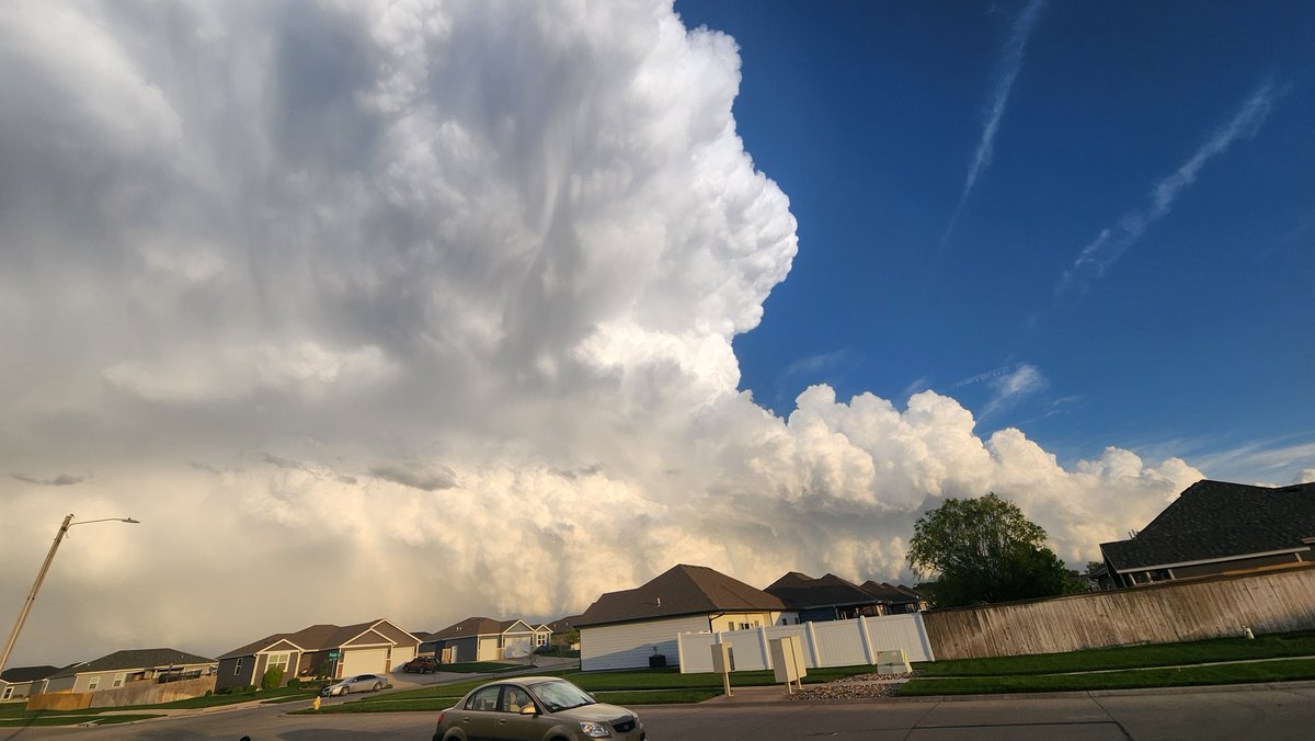 David Toelle tweet media