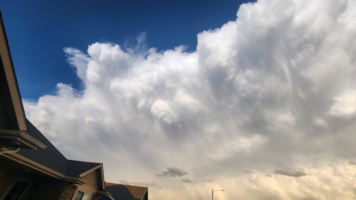 David Toelle tweet media