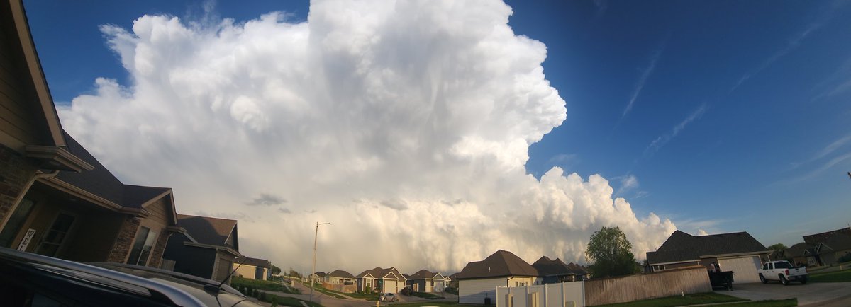 David Toelle tweet media