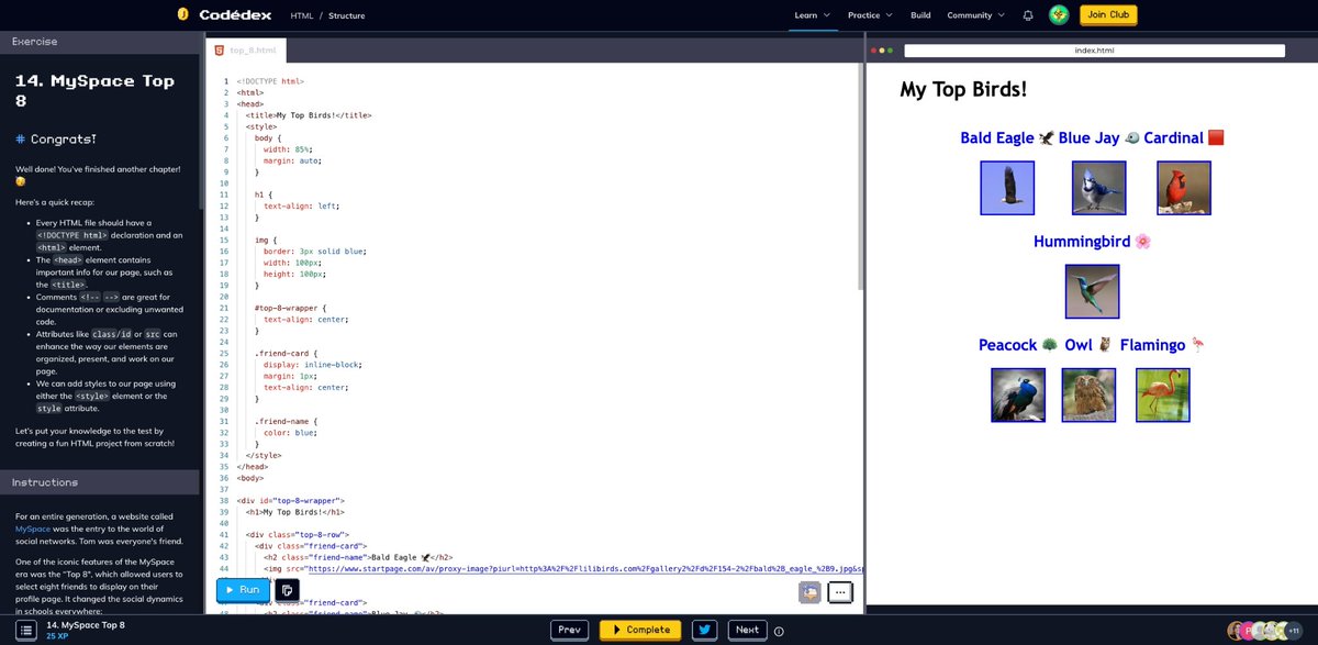ztarjom's tweet image. MySpace Top 8 birds 🌐 #CodédexMySpaceTop8 #HTML #30NitesofCode @codedex_io