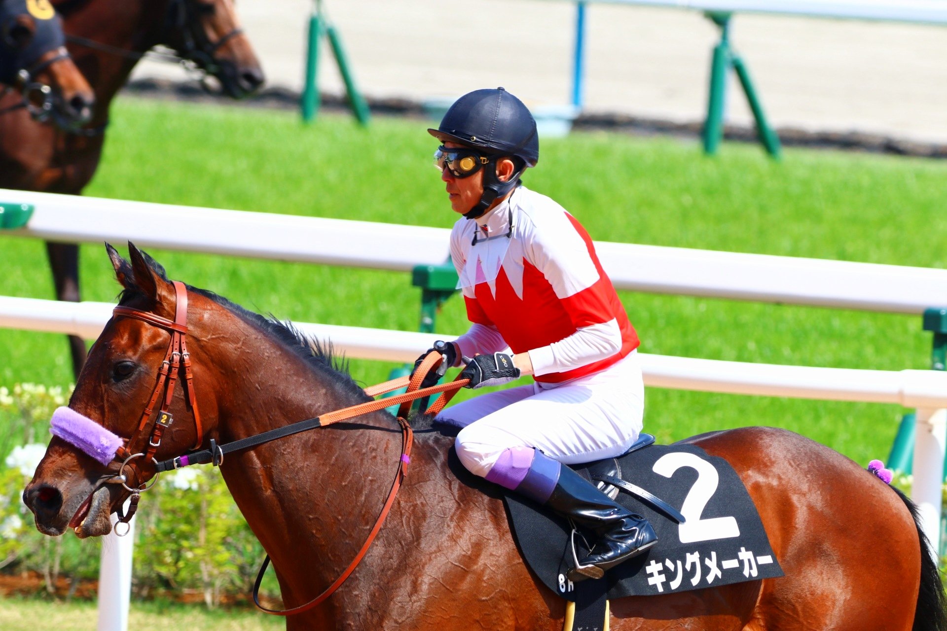 LegendaryJockey (@LegendaryJockey) / X LegendaryJockey (@LegendaryJockey) / X