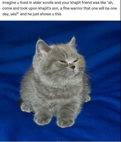 Rock solid (@shitpostrock) on Twitter photo 