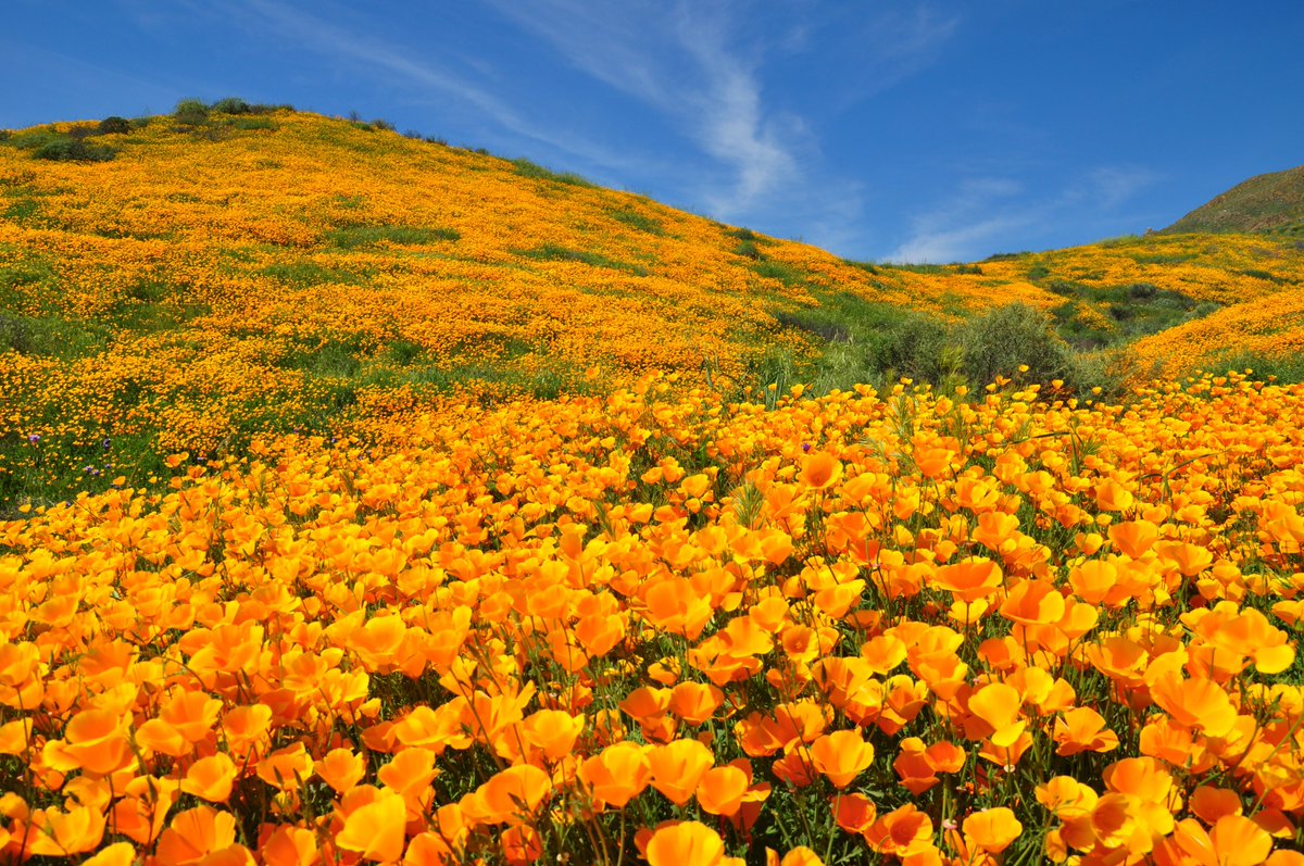 On <a href="/KALW/">KALW</a> NOW - The Trump administration is challenging California's #climate policies. What will this mean for our state’s environmental future? Join us for a deep dive into the legal battles ahead. Call us with your ?s and comments now! (415) 841-4134